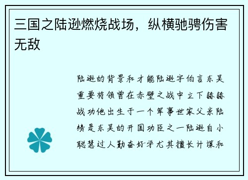 三国之陆逊燃烧战场，纵横驰骋伤害无敌